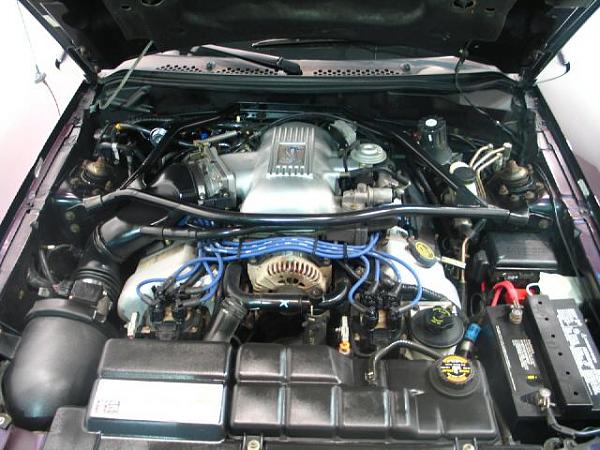 Have to sell the 95 Cobra .....-9f61_4.jpg