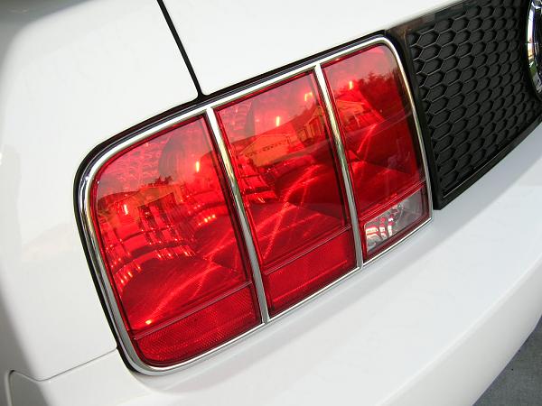 Ponies on The Run!-dscn5137.jpg