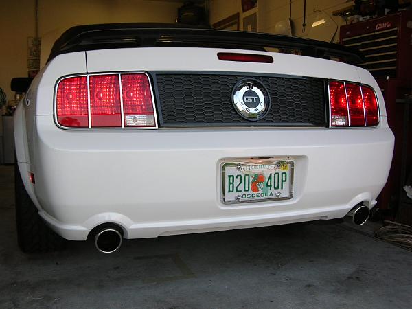 Ponies on The Run!-dscn5145.jpg