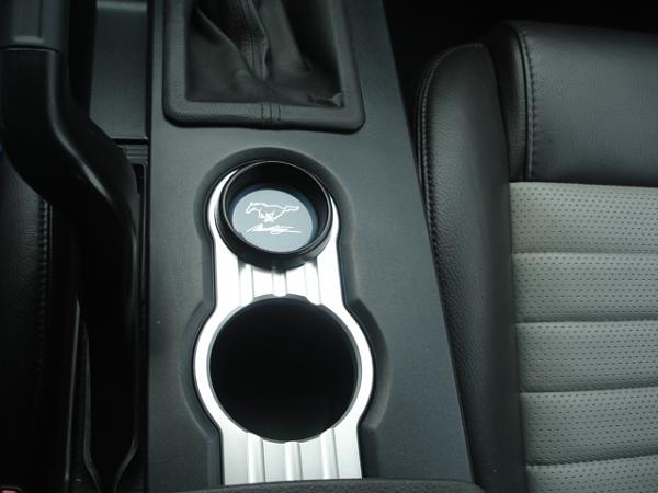 Ponies on The Run!-dsc01476.jpg