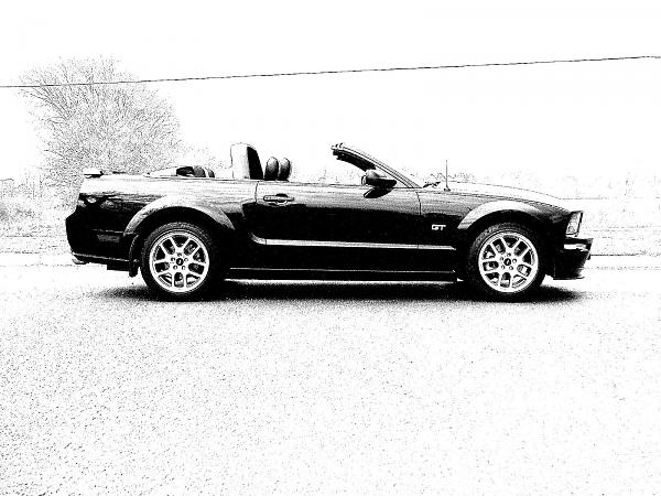 Ponies on The Run!-05-mustang-1-.jpg