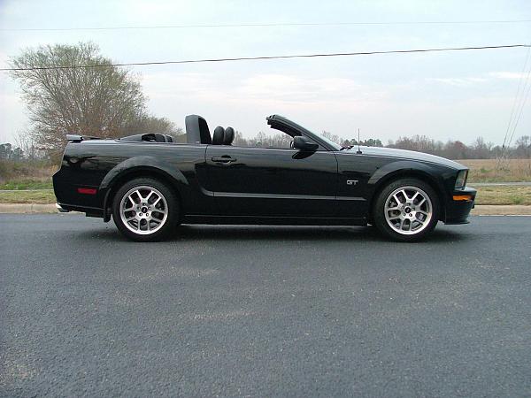 Ponies on The Run!-2005-mustang-039a.jpg