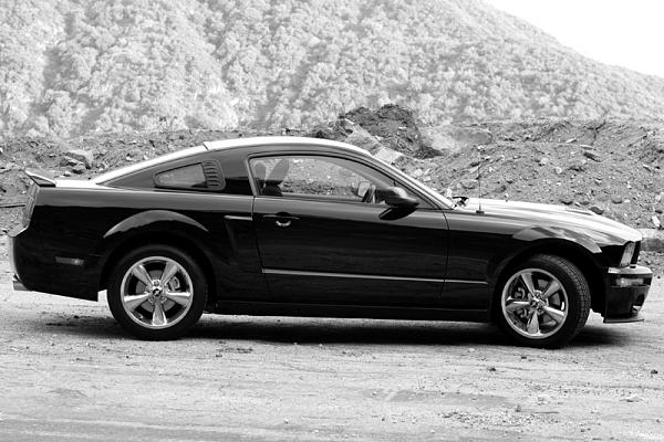 Ponies on The Run!-lu7e0958b-w.jpg