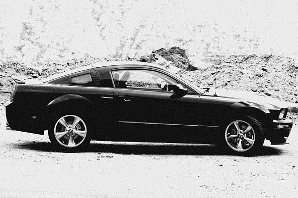 Ponies on The Run!-lu7e0958b-w2.jpg