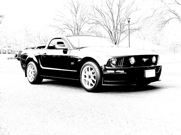 Ponies on The Run!-2005-mustang-029-edit-.jpg