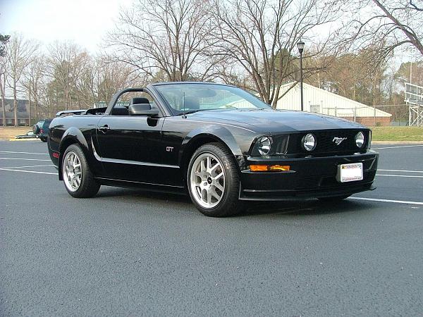 Ponies on The Run!-2005-mustang-029.jpg