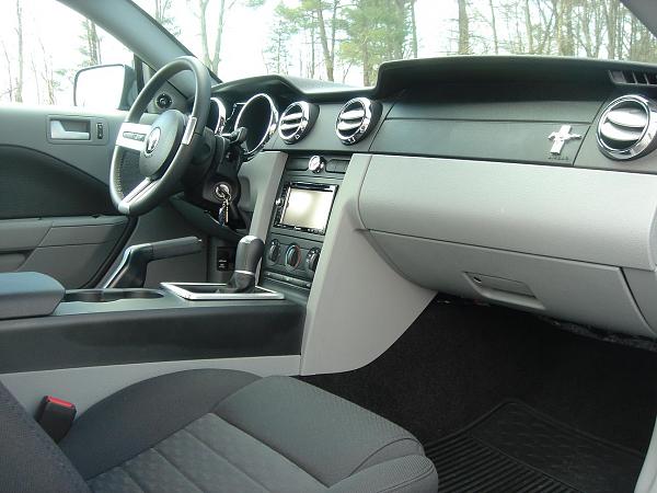 Ponies on The Run!-picture2-20027.jpg