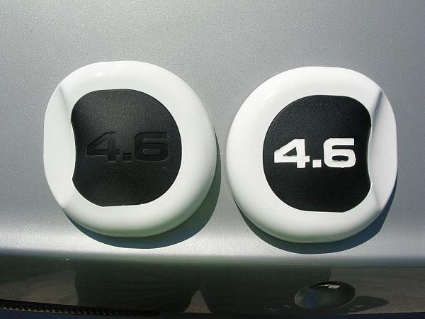 Ponies on The Run!-dscn5420.jpg