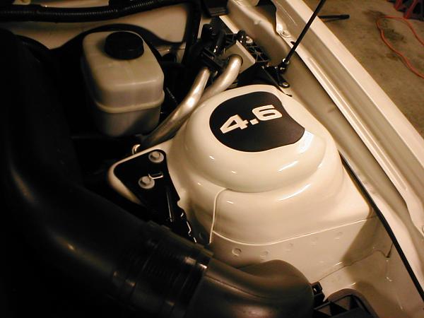 Ponies on The Run!-p1010249.jpg