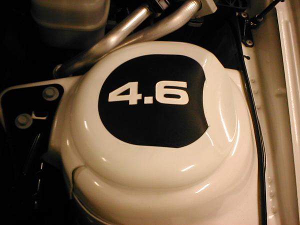 Ponies on The Run!-p1010251.jpg