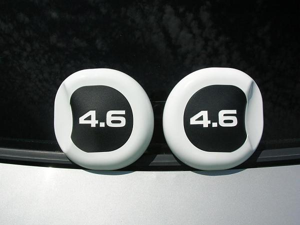 Ponies on The Run!-dscn5445.jpg