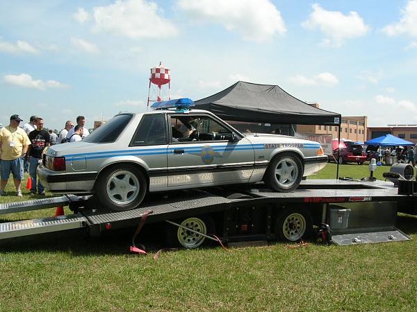 Ponies on The Run!-dscn5474.jpg