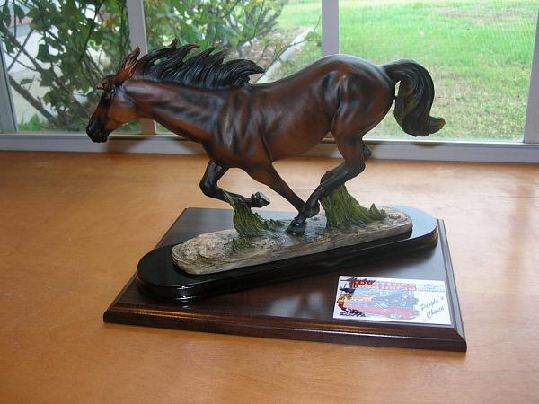 Ponies on The Run!-dscn5497.jpg