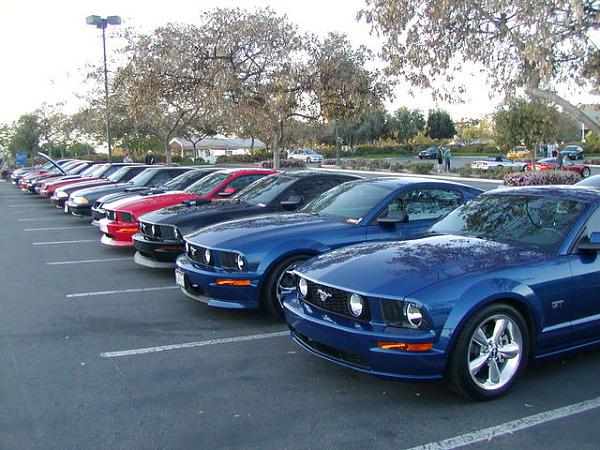 Ponies on The Run!-p1010013.jpg