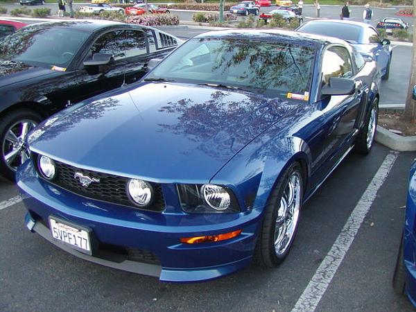 Ponies on The Run!-p1010015.jpg