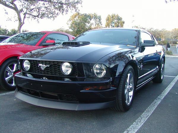 Ponies on The Run!-p1010016.jpg