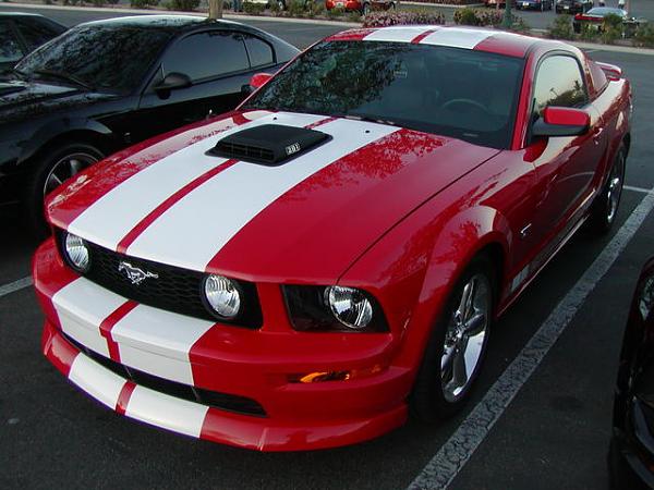 Ponies on The Run!-p1010017.jpg