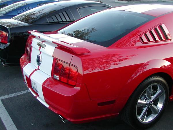 Ponies on The Run!-p1010019.jpg