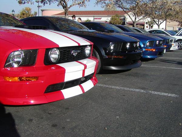 Ponies on The Run!-p1010167.jpg