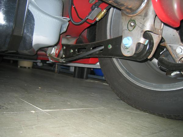 Ponies on The Run!-img_2501.jpg