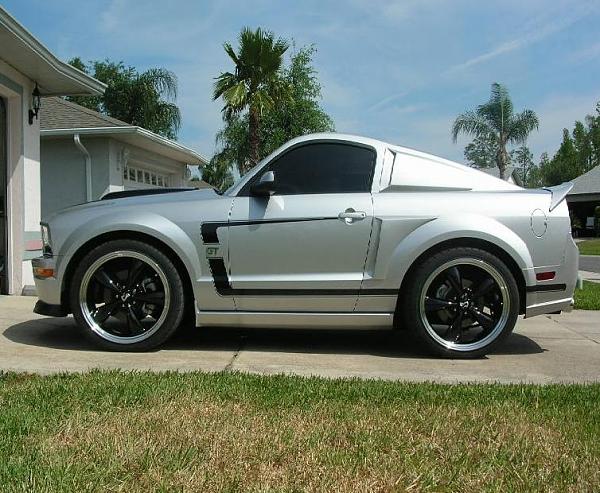 Ponies on The Run!-mikeshrink-1-.jpg