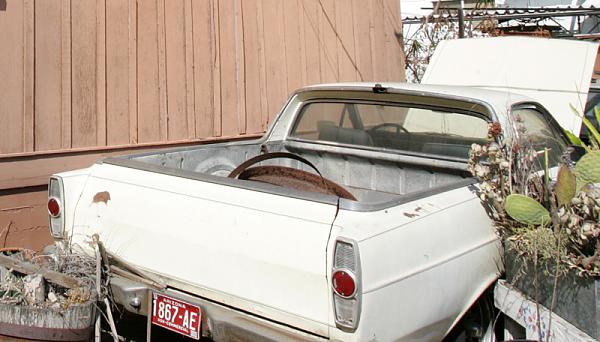 Ponies on The Run!-ranchback.jpg