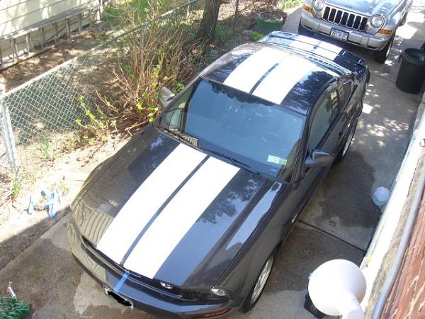 Ponies on The Run!-mustang-2007-069.jpg