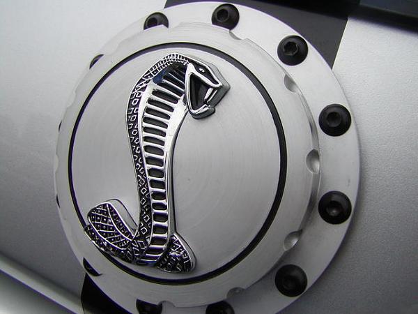 Ponies on The Run!-p1010149.jpg