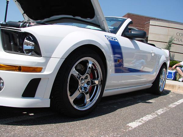 Ponies on The Run (Again)-national-mustang-show-4-21-07-112a.jpg