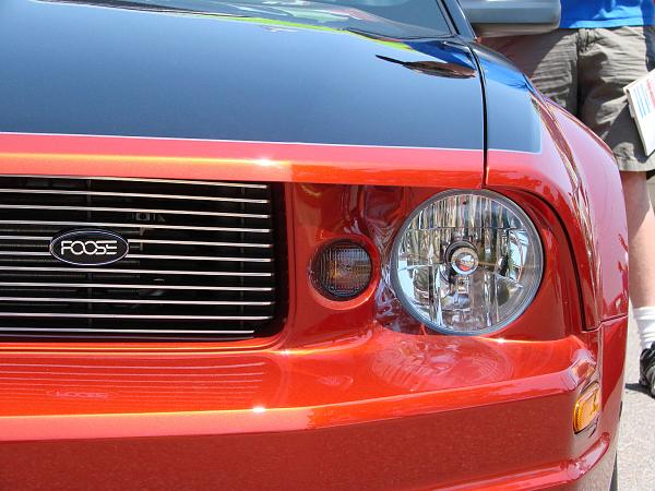 Ponies on The Run!-national-mustang-show-4-21-07-061a.jpg