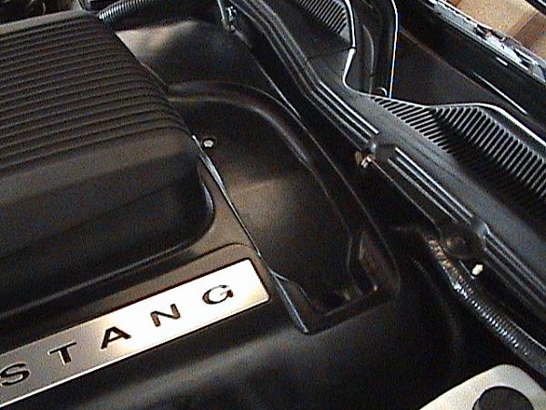 Ponies on The Run!-dsc00085.jpg