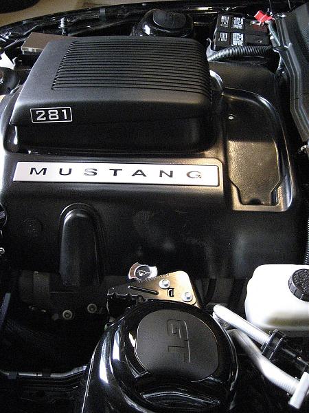 Ponies on The Run!-img_0149.jpg