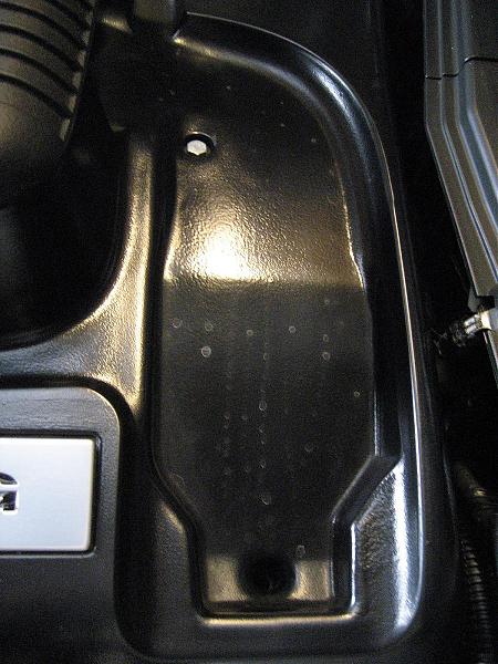 Ponies on The Run!-img_0150.jpg