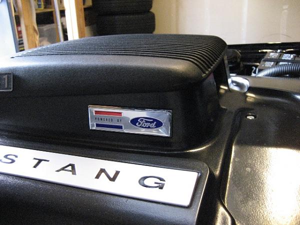 Ponies on The Run!-img_0157.jpg