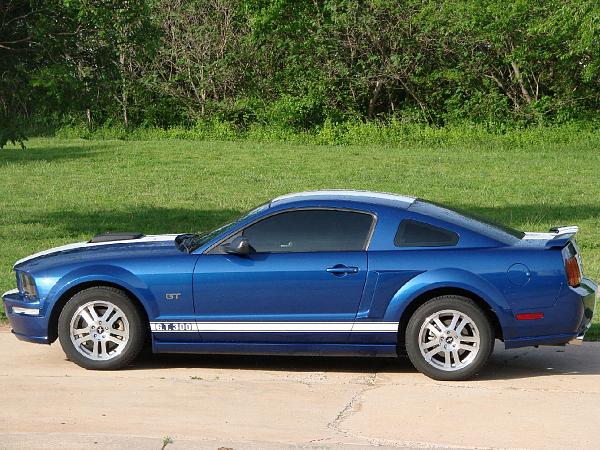 Ponies on The Run!-no-scoops1.jpg