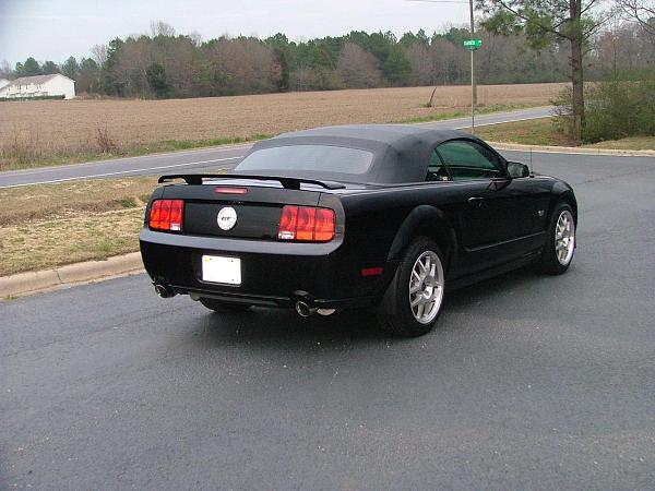 Ponies on The Run!-2005-mustang-052.jpg