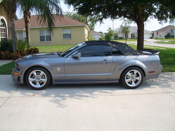 Ponies on The Run!-cimg1395.jpg