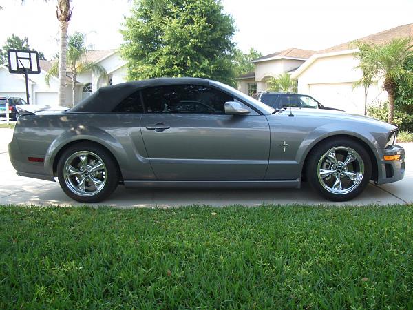 Ponies on The Run!-cimg1398.jpg