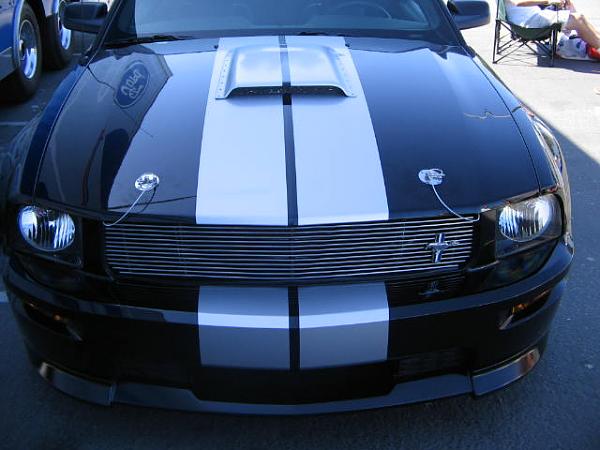 Ponies on The Run!-img_2161.jpg