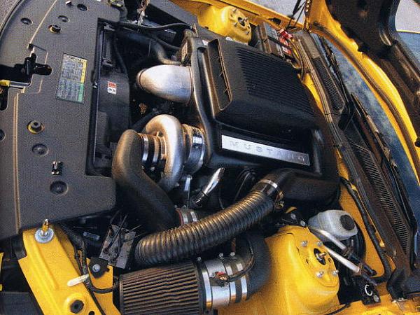 Ponies on The Run!-hood-pins1.jpg