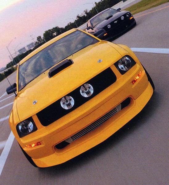 Ponies on The Run!-hood-pins2.jpg