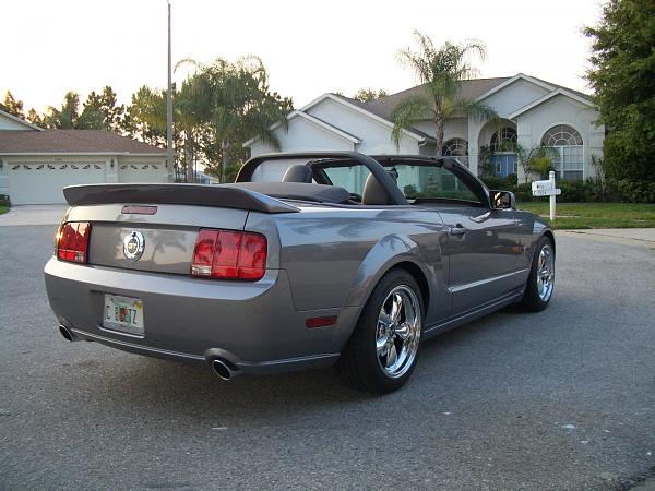 Ponies on The Run!-cimg1410.jpg