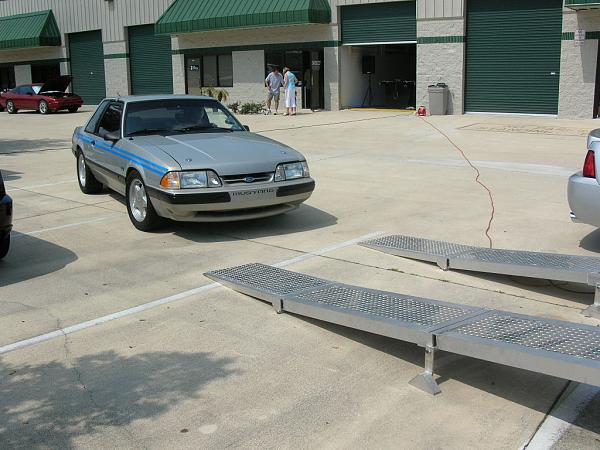 Ponies on The Run!-dscn5591.jpg