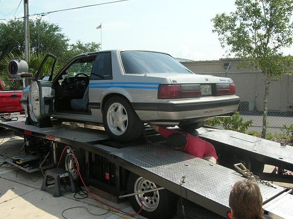 Ponies on The Run!-dscn5592.jpg