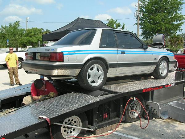 Ponies on The Run!-dscn5593.jpg