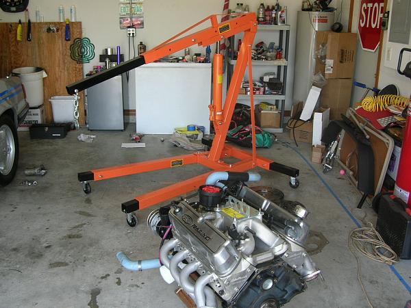 Ponies on The Run!-dscn5614.jpg