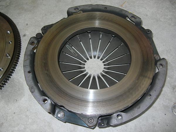 Ponies on The Run!-dscn5616.jpg