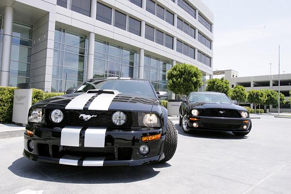 Ponies on The Run!-1.jpg