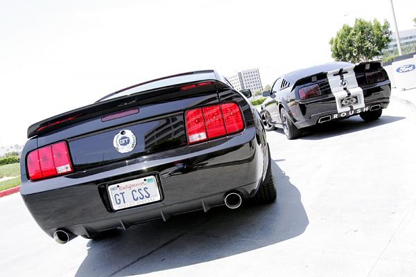 Ponies on The Run!-2.jpg