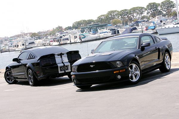 Ponies on The Run!-3.jpg